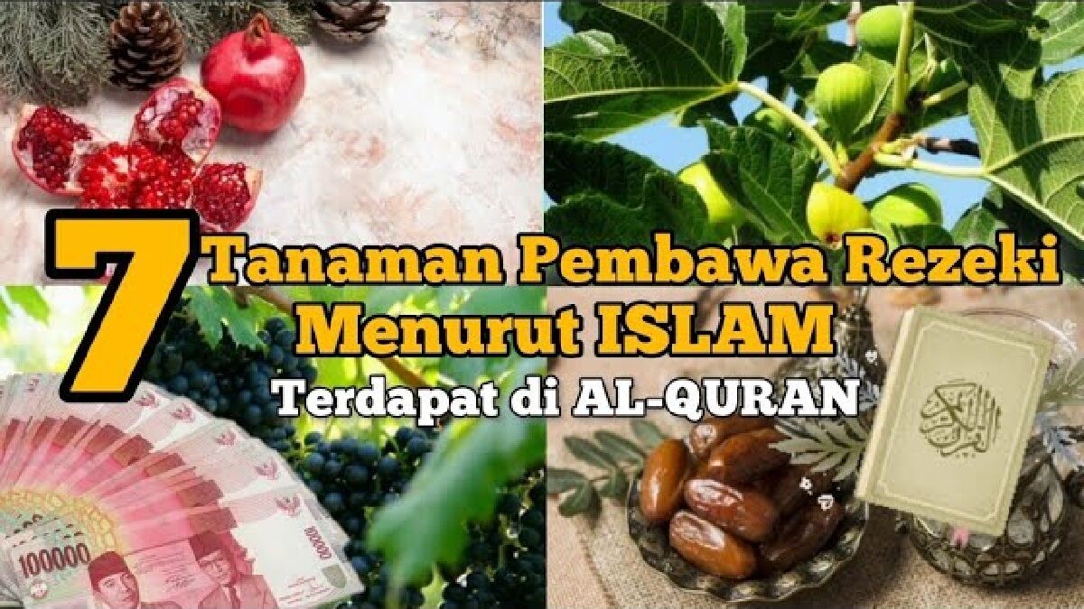 Muslim Wajib Baca Inilah 7 Tanaman Pembawa Rezeki Menurut Islam Yang