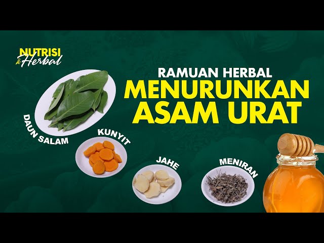 8 Rebusan Daun Untuk Menurunkan Kadar Asam Urat Ampuh Dan Bisa