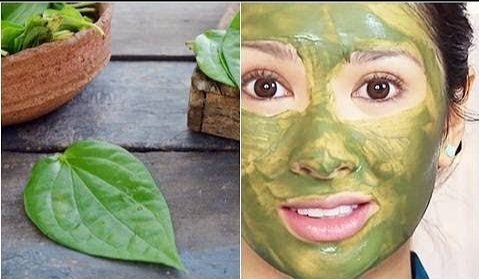 Inilah Cara Membuat Masker Daun Binahong Untuk Memutihkan Wajah Pasti