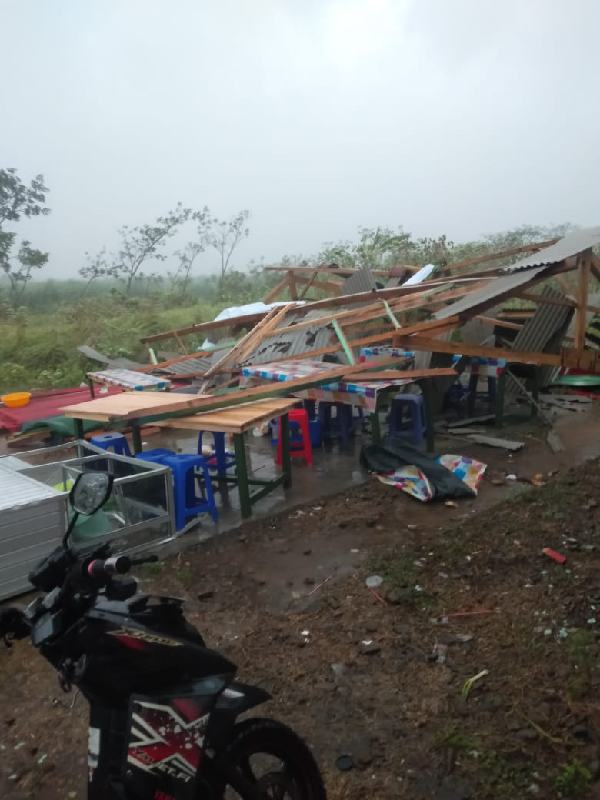 Diterjang Angin Kencang Pohon Tumbang Timpa Mobil