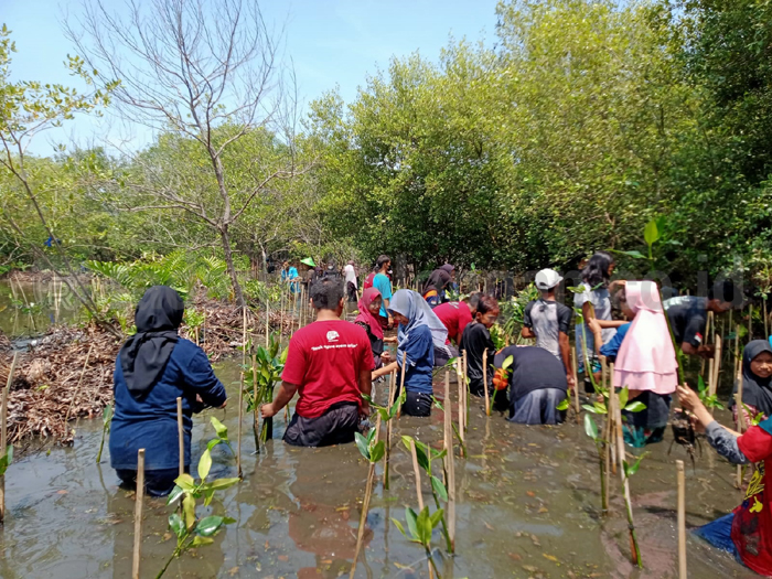 Lumbung Padi Di Pesisir Sirna