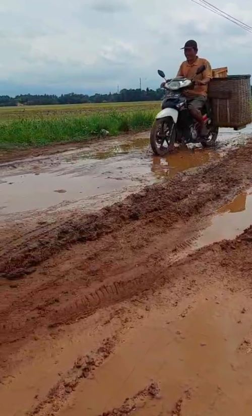 Warga Keluhkan Jalan Babadan Pait, Bak Kubangan Lumpur di Sawah