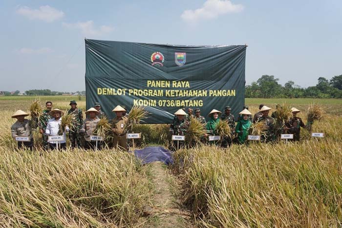 TNI Siap Bagikan Bibit Padi Protani Secara Gratis