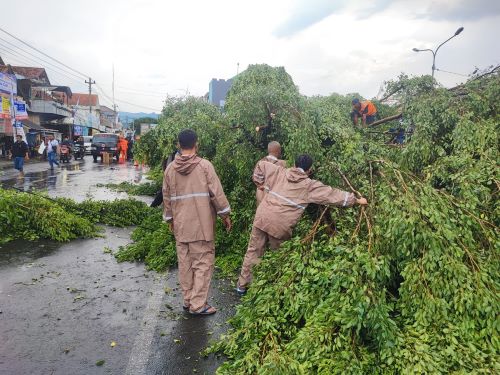 Dihajar Angin Kencang, Pohon Beringin di Pasar Karanganyar Roboh, 4 Layos Kios dan 1 Motor Rusak