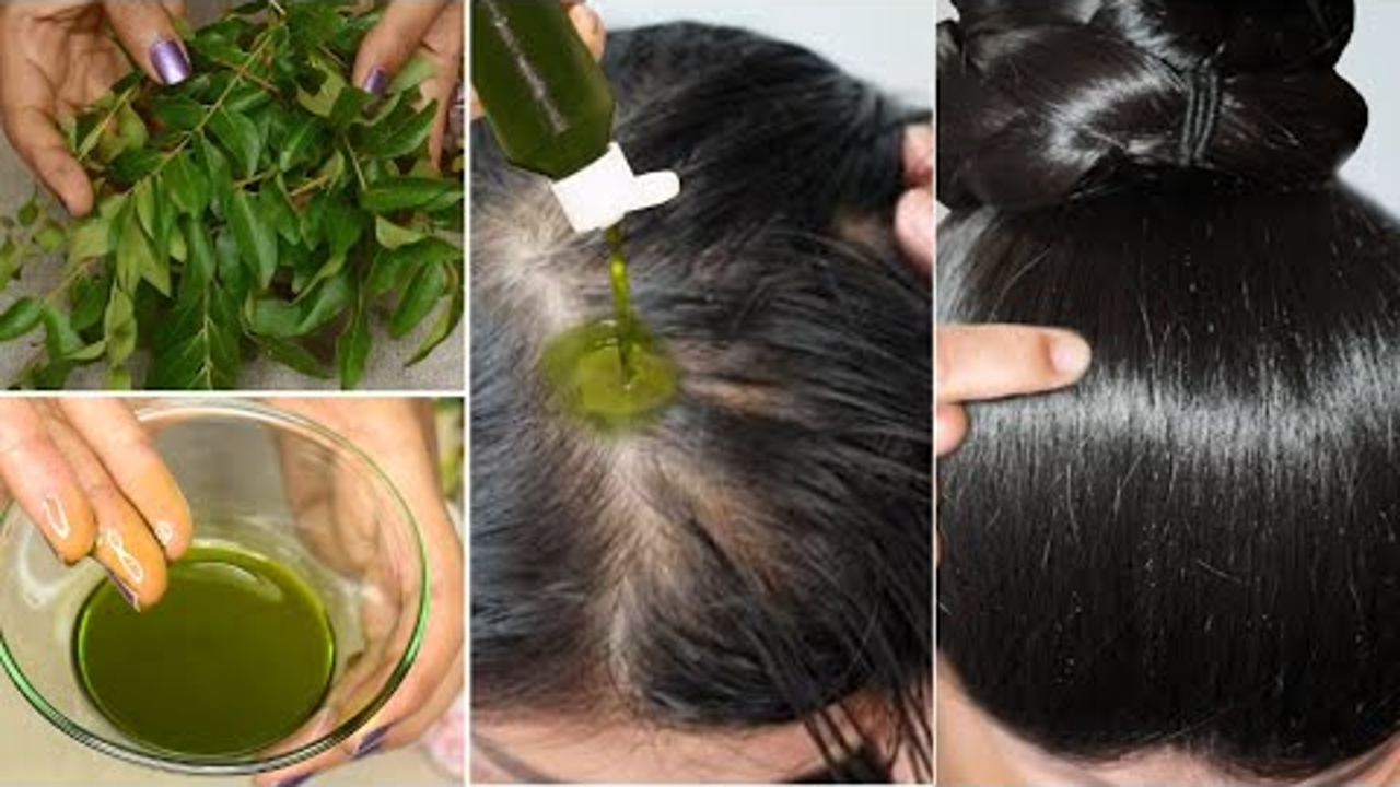 DIY Racikan Daun Penghilang Rambut Uban yang Menahun, Cuma 3 Langkah Bikin Rambut Hitam Permanen