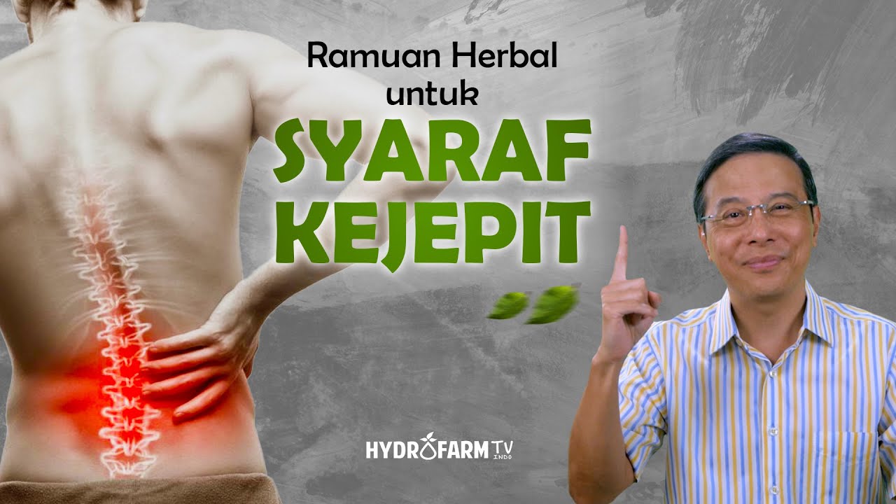 Ini Dia Macam-macam Tanaman Obat untuk Saraf Terjepit yang Ampuh Dikonsumsi