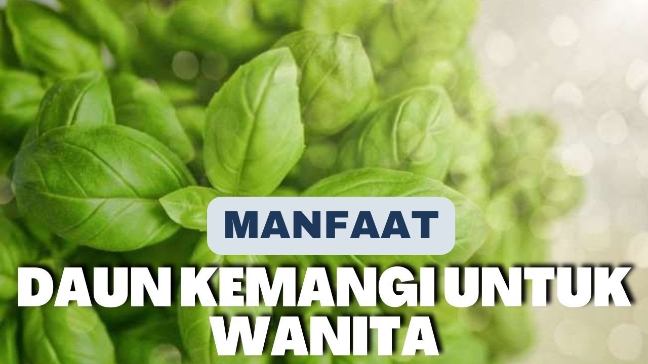 Wanita Harus Tahu! 3 Manfaat Daun Kemangi untuk Wanita, Sangat Bermanfat untuk Kesehatan Kulit