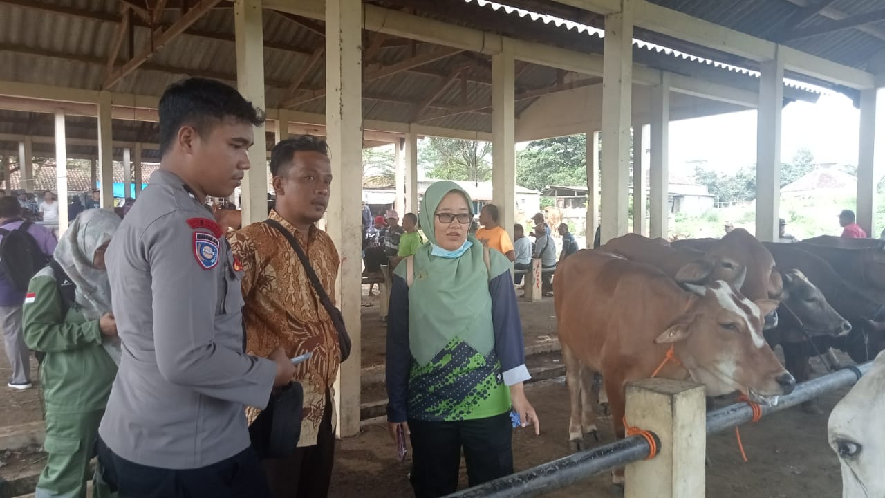 Waspada, 5 Kecamatan di Batang Ini Masuk Zona Merah PMK, Vaksinasi Hanya Sasar Zona Hijau