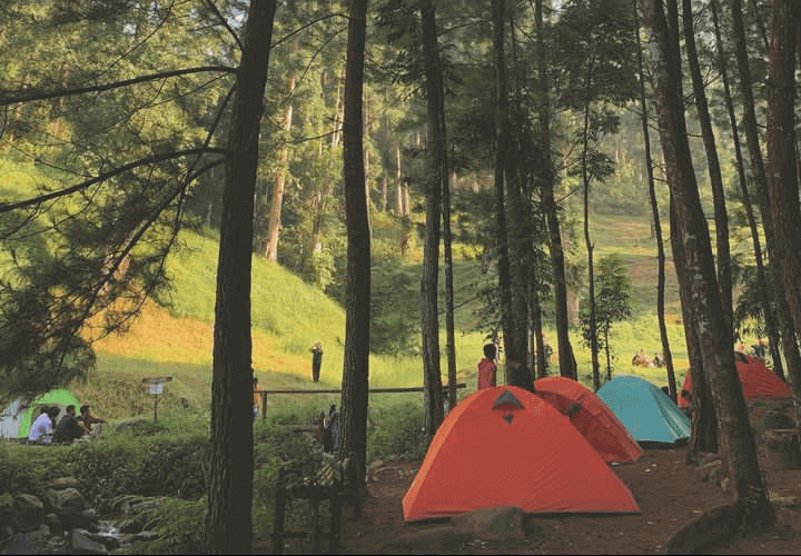 Catat Ya! 5 Tips Camping di Manasuka Camping Ground Agar Mendapatkan Pengalaman yang Menyenangkan