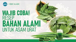 7 Makanan Yang Bisa Menjadi Obat Alami Asam Urat, Penderita Asam Urat Wajib Tahu