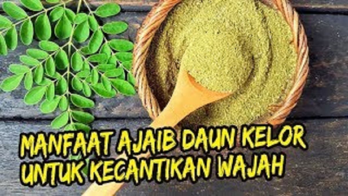 3 Tips Membuat Masker Daun Kelor untuk Hilangkan Flek Hitam dan Wajah Kusam, Wajah Putih Dalam Sekali Pakai