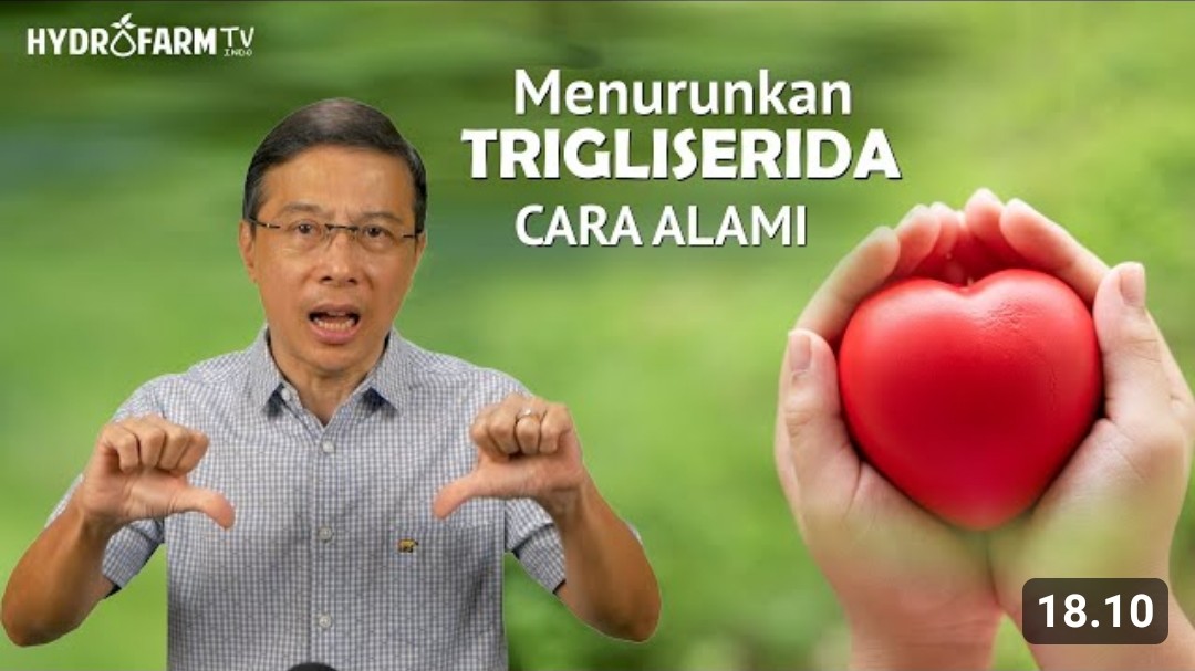 10 Cara Menurunkan Kadar Trigliserida Tinggi Tanpa Obat Sama Sekali