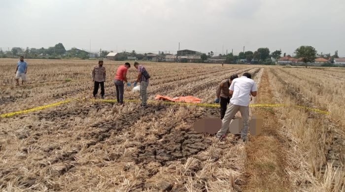 Mayat Laki-laki Bersarung Ditemukan di Sawah, 500 Meter dari Kantor Kecamatan Siwalan