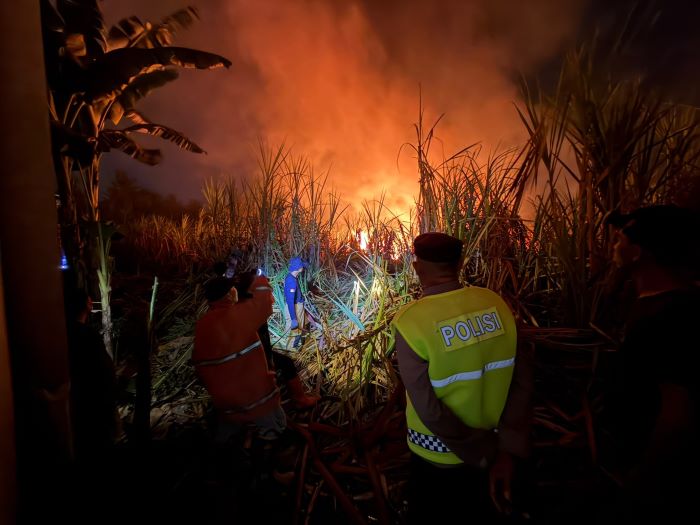 Kebun Tebu Seluas 1 Hektar di Bojong Terbakar Tengah Malam