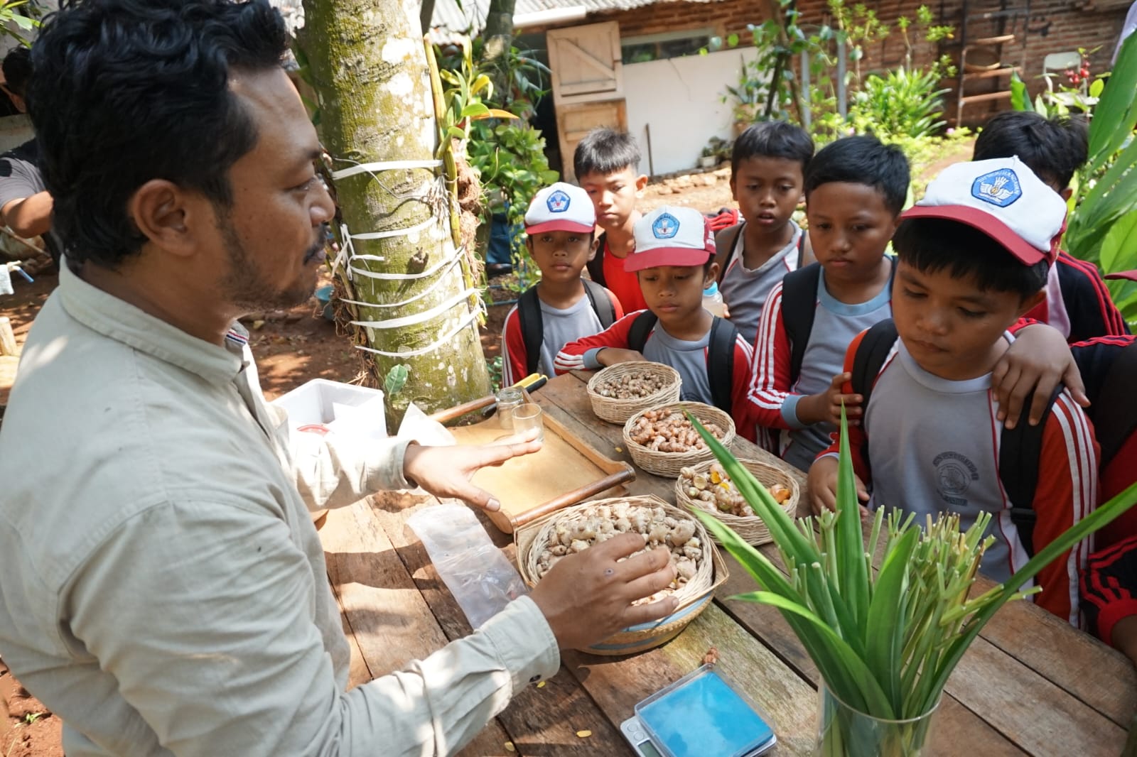 Peringati Hari Jamu Nasional, Pelajar SDN Tambahrejo 02 Bandar Dikenalkan Seluk Beluk Jamu 