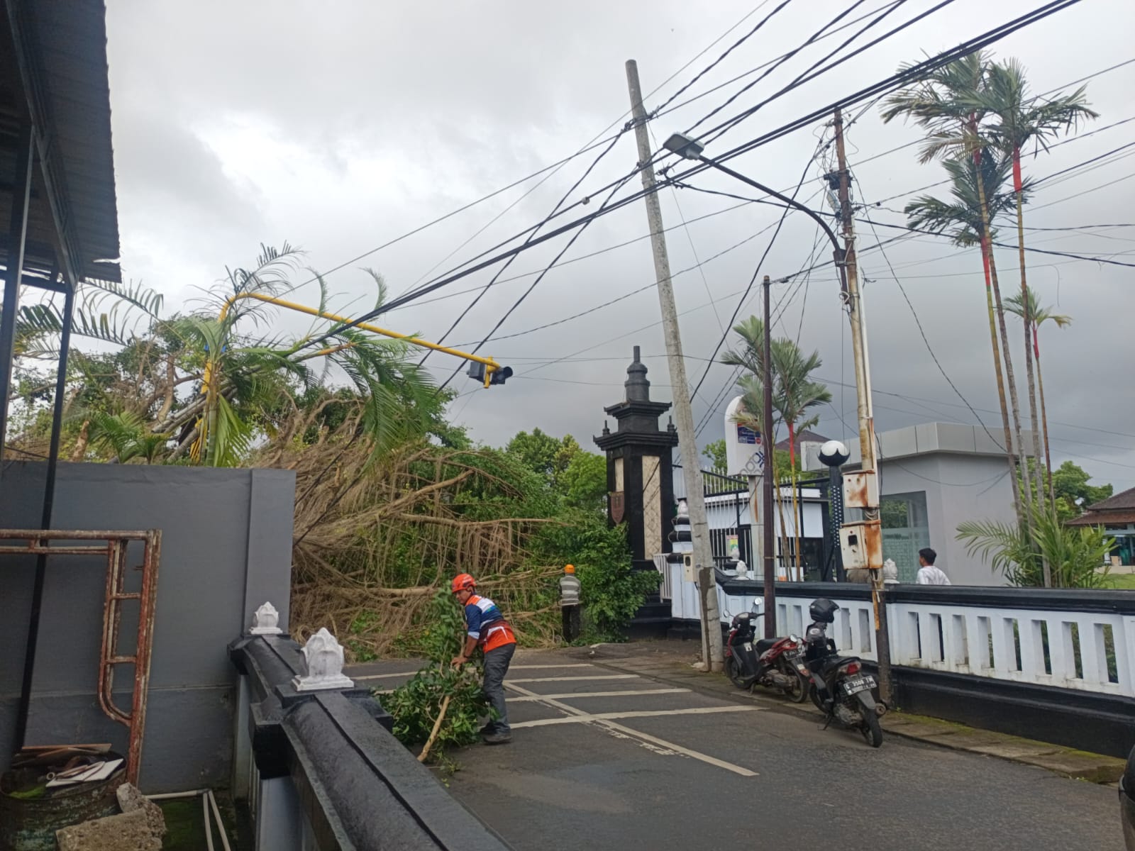 Pohon Beringin Depan Kantor Bupati Batang Tumbang, Satu Mobil Tertimpa