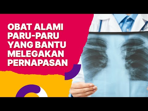 Ternyata Bisa Mencegah Bronkitis! Inilah 3 Manfaat Daun Sirih Hijau untuk Mengatasi Masalah Saluran Pernapasan