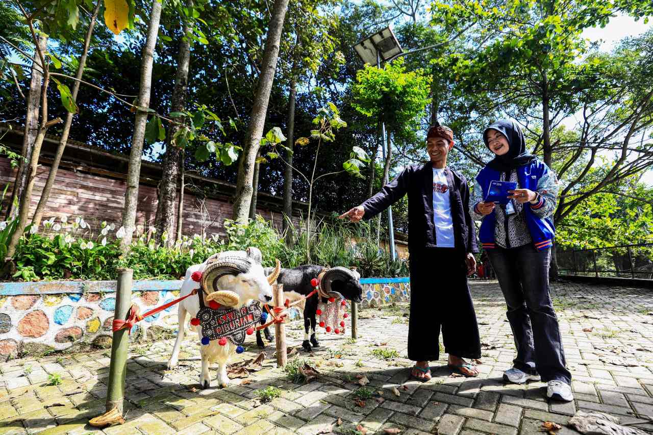 Idul Adha Jadi Momentum, BRI Peduli Tingkatkan Produktivitas Peternak Domba di Desa BRILiaN Sukalaksana Garut