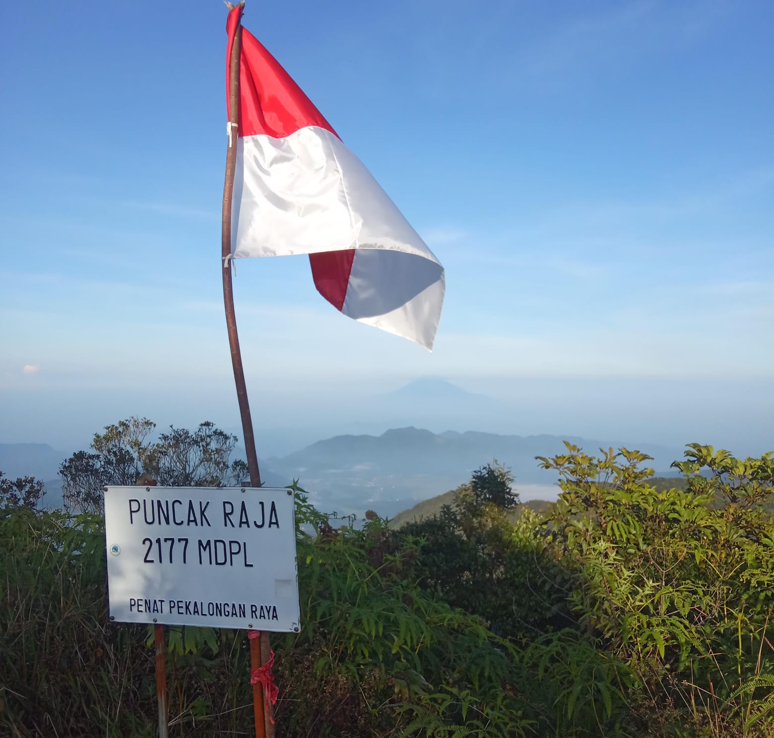 Gunung di Pekalongan Ini Pernah Aktif Jutaan Tahun yang Lalu, Begini Sejarah Gunung Rogojembangan