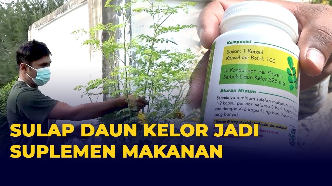 Para Pria Wajib Baca! Ini 3 Manfaat Daun Kelor untuk Pria, Cegah Penyakit dan Jaga Kesehatan