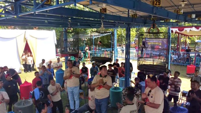 Lomba Burung Berkicau Kapolres Cup Pekalongan 3 Ramai, Semarak Hari Bhayangkara ke-79