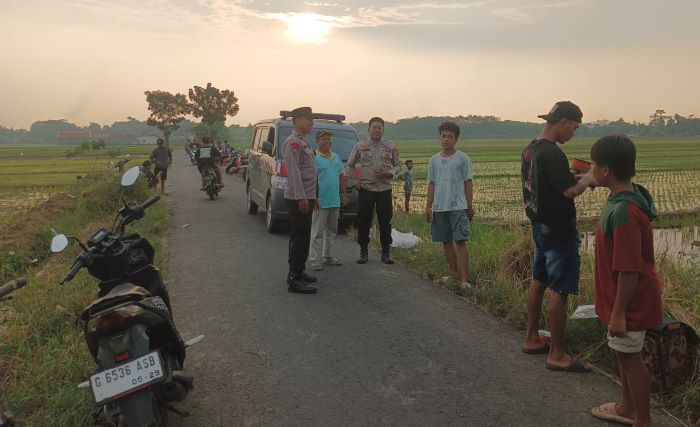 Sawah Rusak Diinjak-injak Anak-anak Main Layangan, Petani Ngadu Ke Bhabinkamtibmas dan Pemdes Tangkil Kulon