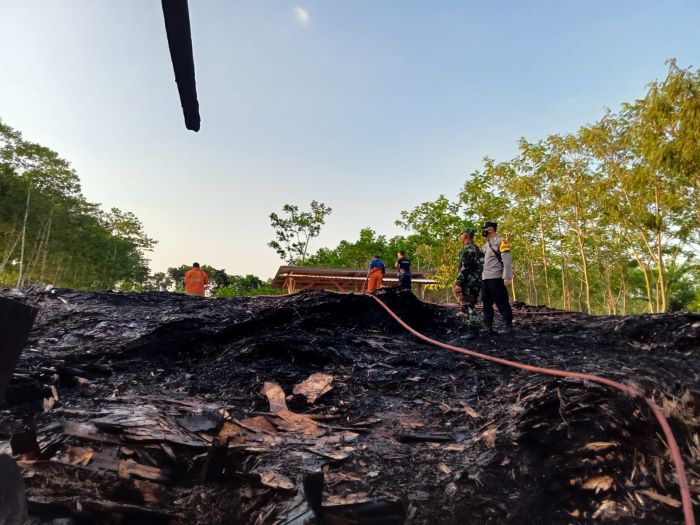 Diduga Korsleting Listrik, Depot Kayu di Kajen Terbakar