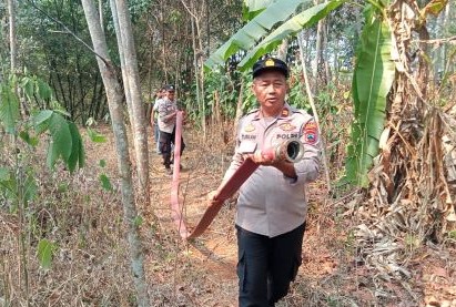 Petugas Gabungan dan Warga Berjibaku Padamkan Kebakaran Kebun Sengon di Rowolaku