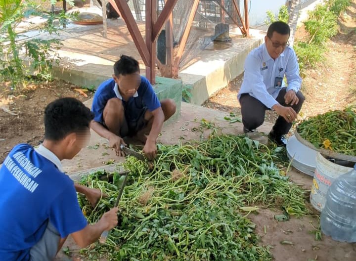Pertanian Berkelanjutan, Rutan Pekalongan Kembangkan Posnik Lodji: Inovasi Kompos Organik Ramah Lingkungan
