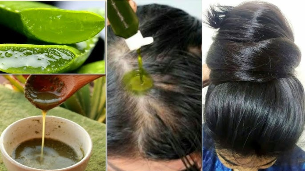 3 Cara Buat Sampo dari Lidah Buaya Agar Rambut Sehat Alami, Bisa Bikin di Rumah