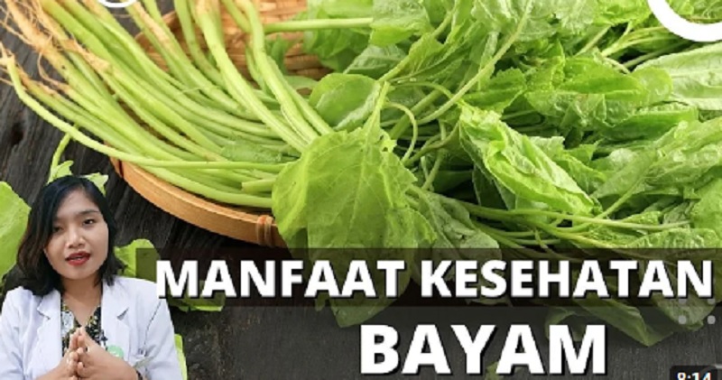 Inilah Sederet Manfaat Bayam untuk Kesehatan, Mulai dari Mencegah Anemia sampai Mencegah Kanker