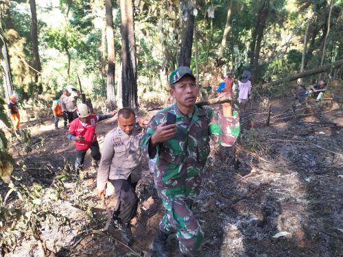 3 Hektare Hutan Pinus di Kalijoyo Pekalongan Kembali Terbakar, Titik Api Belum Sepenuhnya Padam