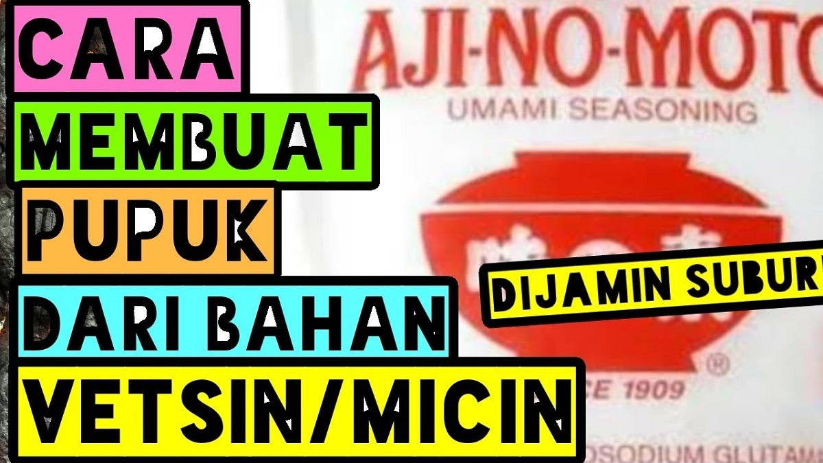 Begini Cara Pembuatan Pupuk dengan Menggunakan Micin untuk Tanaman Hias, Solusi Murah dan Efektif!