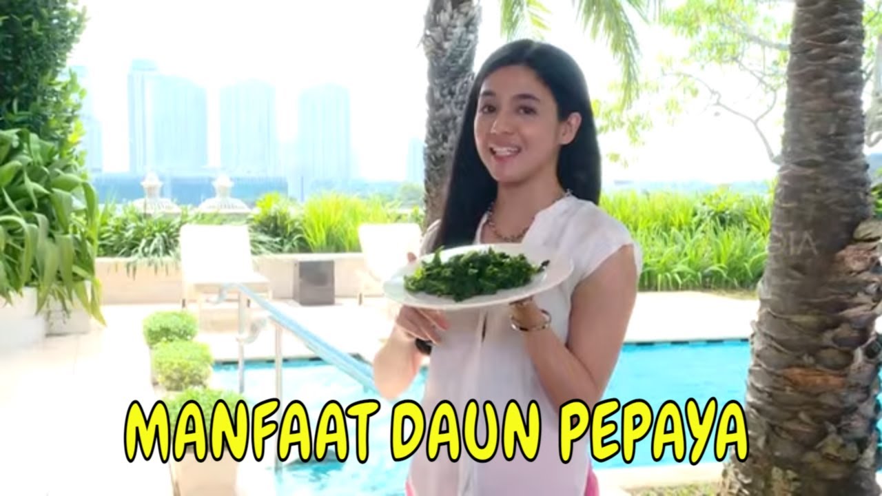 Mau Tahu Manfaat Daun Pepaya Bagi Kebugaran Tubuh Kita yang Jarang Diketahui? Ini Dia Beberapa di Antaranya