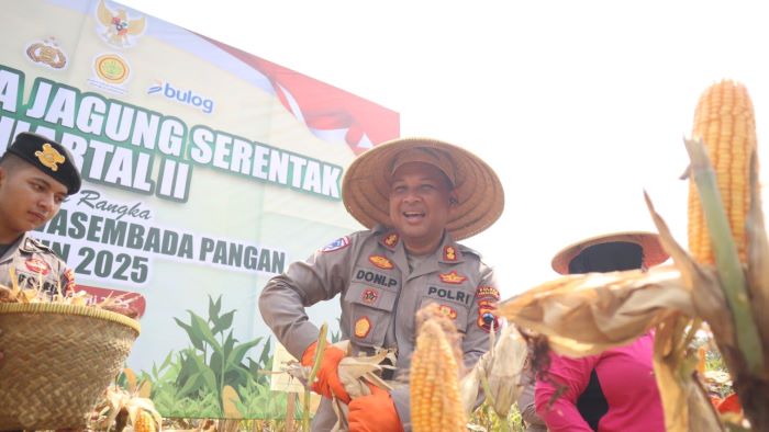 Panen Raya Jagung Polres Pekalongan, 0,3 Hektare Panen 6,5 Ton Jagung
