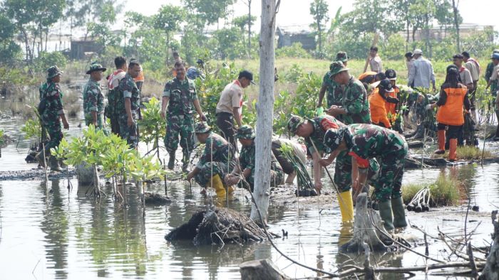 Bulan Bakti Pramuka 2023, TNI dan Pramuka di Pekalongan Tanam 1000 Bibit Bakau di Pantai Depok