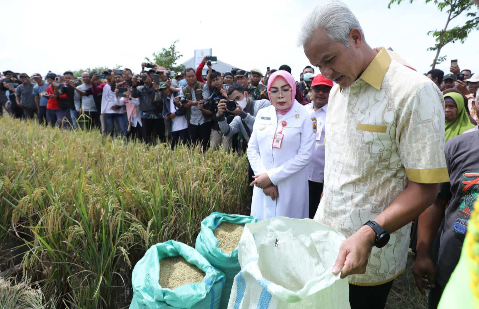 Jaga Stabilitas Harga Beras Di Jateng, Ganjar Ajak Petani Milenial ...