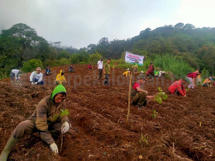 Perhutani dan Warga Pulihkan Lahan Hutan di Igir Gede