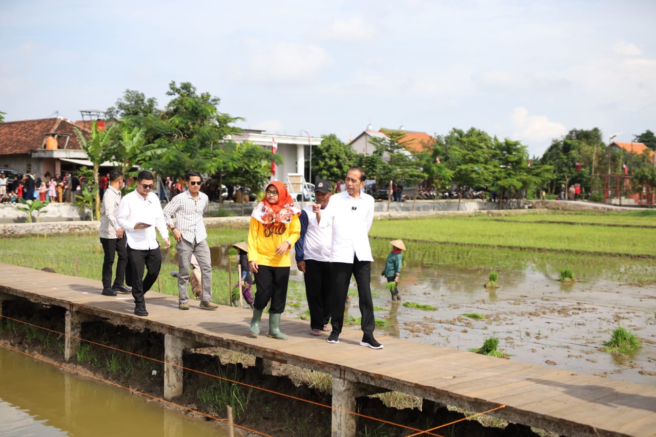 Budidaya Padi Biosalin PGN Dapat Apresiasi dari Jokowi