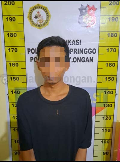 Curi Handphone Tetangga, Jarot Ditangkap Polisi