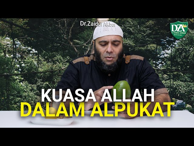 Inilah 4 Manfaat Buah Alpukat Menurut dr. Zaidul Akbar yang Wajib Kamu Tahu, Apa Saja?
