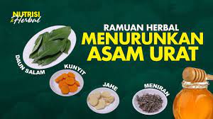 4 Jenis Ramuan Herbal Penurun Asam Urat dengan Efek Samping Minimal dan Mudah Disiapkan