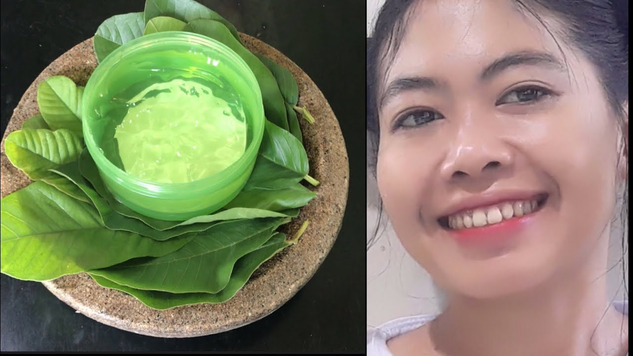 Daun Sirih Cina Bikin Wajah Awet Muda, Begini 3 Cara Pakainya yang Benar untuk Hasil Glowing Permanen