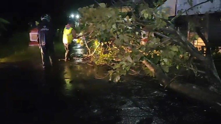 Polsek Sragi dan Warga Evakuasi Pohon Tumbang di Desa Wonosari