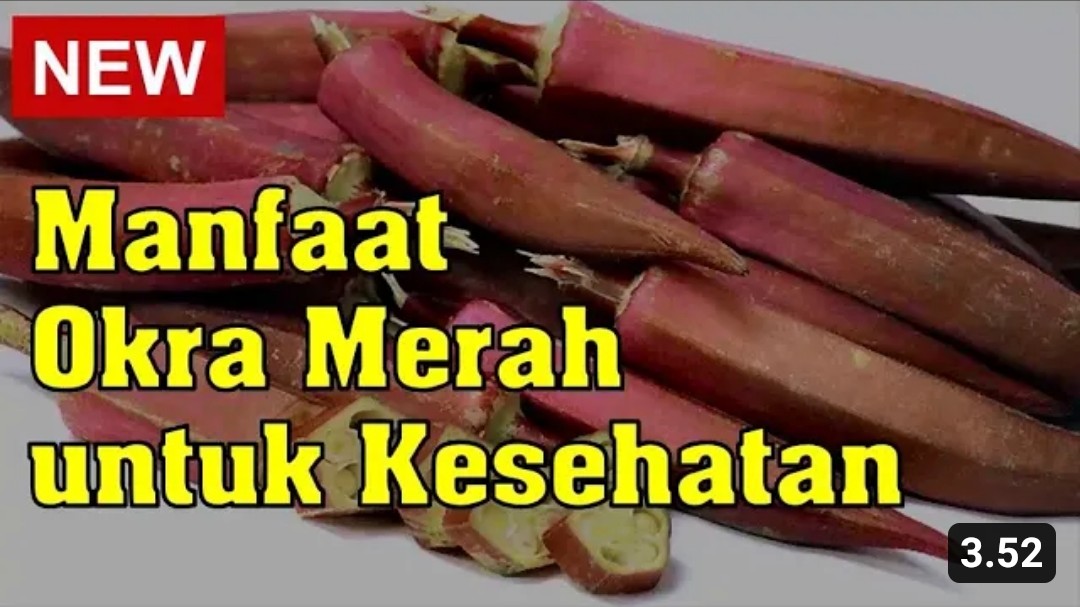 6 Manfaat Okra Merah Bagi Tubuh yang Harus Kamu Tahu Selain Lezat untuk Dimakan