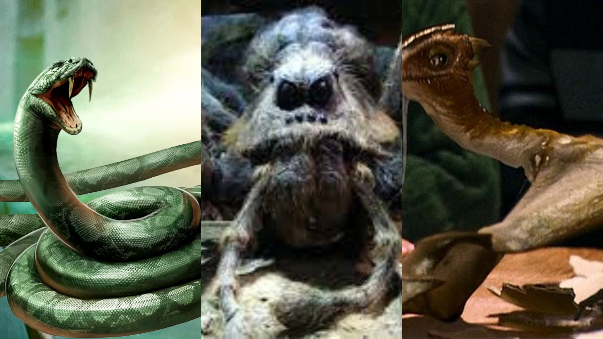 Berbahaya! Ini 3 Binatang Peliharaan Mitologis Harry Potter yang Harus Dihindari