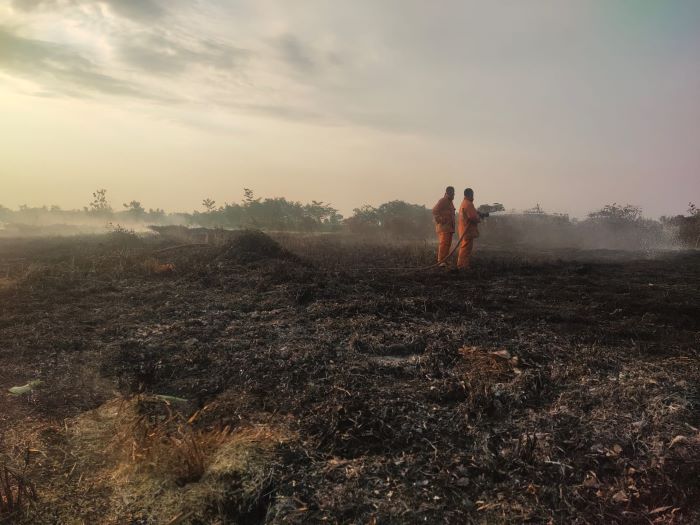 Lahan Dekat Pemukiman di Kayugeritan Pekalongan Terbakar, Emak-emak Histeris