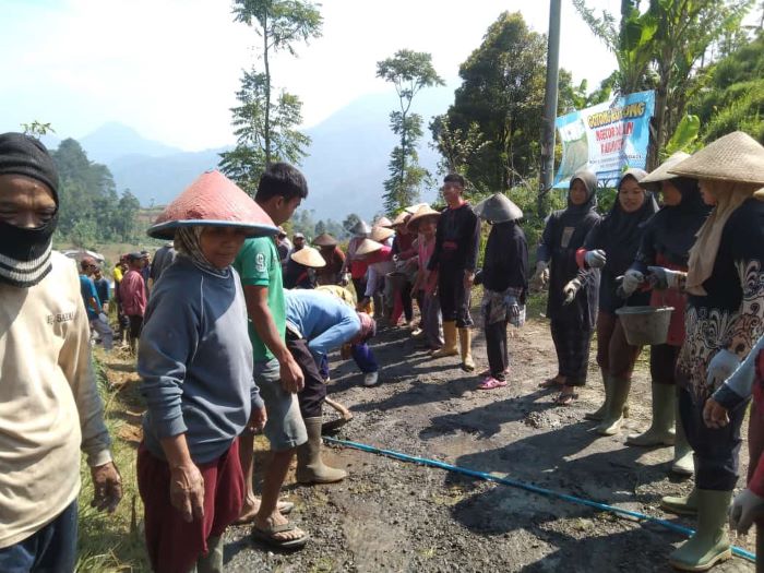 Gerakan Semen Rakyat Jilid 2, Warga Songgodadi Swadaya Perbaiki Jalan Kabupaten yang Rusak