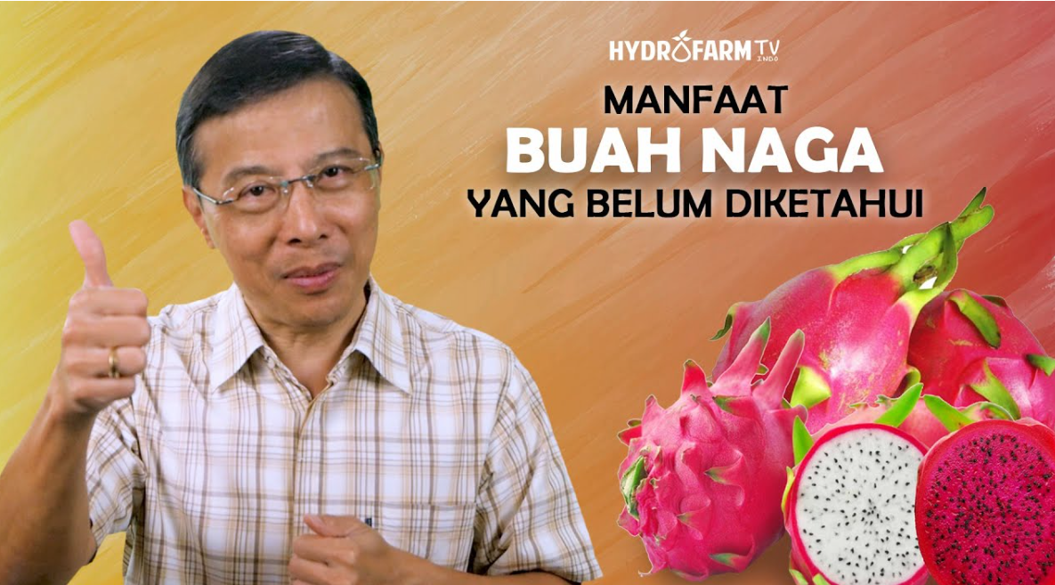 10 Manfaat Buah Naga untuk Kesehatan Tubuh, Apa Saja? 