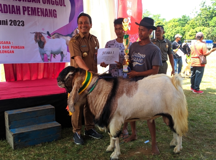 Sebanyak 20 Peserta Ikuti Kontes Kambing Unggul Peternak Kota Pekalongan